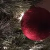 Eden Catron - @edencatron0 - TikTok