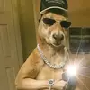 Edwin Eduardo Celaya - @etehdtejdtejdgehd - TikTok