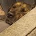 Eddie Cermak - Facebook