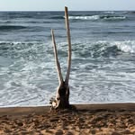 Ed Chauvin - @edchauvin - Instagram