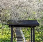 Ed Chen - Facebook