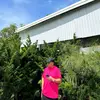 Ed Chen - @ed.chen71 - TikTok