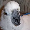 edchmielewski - @edchmielewski - TikTok