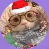 🇰🇷💞☃️🎄cute_snow Maeed 🎄☃️ - @christmas_maeedcat - TikTok