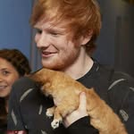 Ed sheeran - @ed_christopher_sheeran_love - Instagram