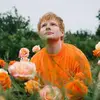 🧡𝔼𝕕 𝕤𝕙𝕖𝕖𝕣𝕒𝕟 𝕗𝕡🧡 - @eddchristophersheeran - TikTok