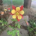 Edi Christopherson - Facebook