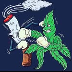 Ed Coffey - @yodathapotelf - Instagram