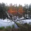 Ed Ecoffey - @ed.ecoffey - TikTok