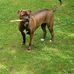 Ed Kocur - Facebook