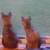 edjucatorcrane - @i_atemycate101 - TikTok