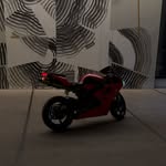 @dogged.daytona - Instagram