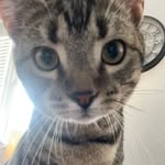 Ed Dean - @ed.dean.391 - Instagram