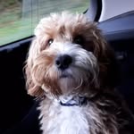 Edward Dean - @_ed.dean - Instagram