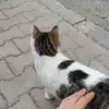 kullanmıyorum - @eddeedsj - TikTok