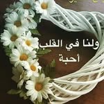 ed denny - @denny_ed - Instagram