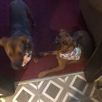 Ed Denton - @edlager - Instagram