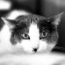 Ed Denton - Facebook