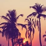Ed Domingo - @ed.domingo.148 - Instagram