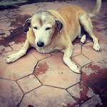 Ed Duran - @ejsduranz - Instagram