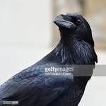 Ed Erickson - @raven4874_ - Instagram