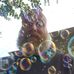Ed Farris - Facebook