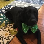 Ed Flynn - @eflynnix - Instagram