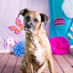 Ed Flynn - @unc_biff - Instagram