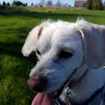Ed Garland - @edgarlandpga - Instagram