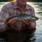 Ed Gentry - Facebook