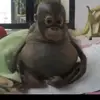 Storm Edgill - @storm.edgill1 - TikTok