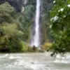 ️todd - @todd.edgill - TikTok