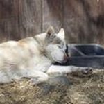 Ed glover - @maxed6942 - Instagram