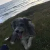 Ed Glover - @edglover - TikTok