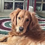 Edie Goldberg - Facebook