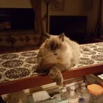 Ed Golden - @ed.golden3 - Instagram