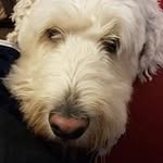 Eddie Goldsworthy - @eddiegoldsworthy - Instagram