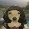 Edgood73 - @edgood73 - TikTok