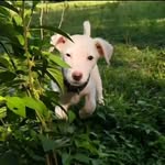 edgood - @edgood56 - Instagram