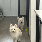 Ed Goodwin Jr - @ewg1169 - Instagram