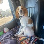 Ed Graham - @oillife6355 - Instagram