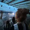 eden - @eden.grainger - TikTok
