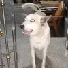ed🐐 - @ed.greer - TikTok