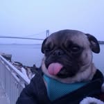 Ed Grimes - @ed.grimes.984 - Instagram