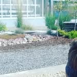 Гриша Медведев - @grishamedvedev7 - Instagram