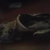 Am_very_pro - @reed_griswold - TikTok