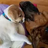 Eddie&Griswold - @eddieandgriswold000 - TikTok