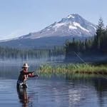 Ed Grubermann - @edgrubermann - Instagram