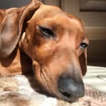 Edward Gurney - @ed_gurney07 - Instagram