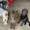 Ed Hagerty - @ed.hagerty - TikTok